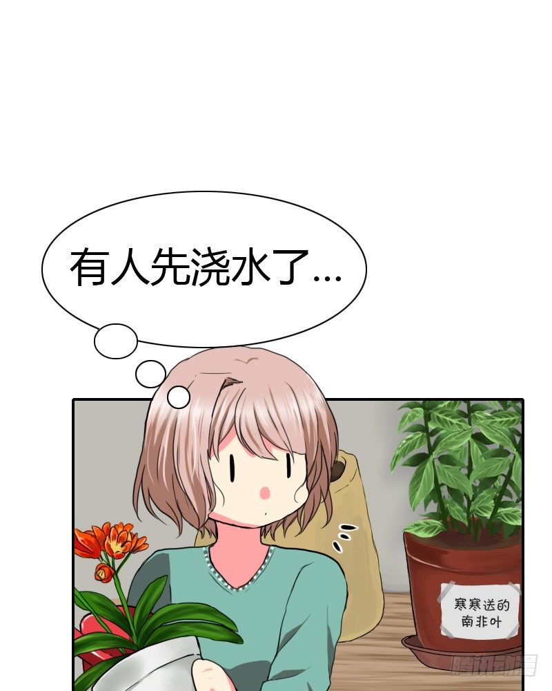 满天星噢~22