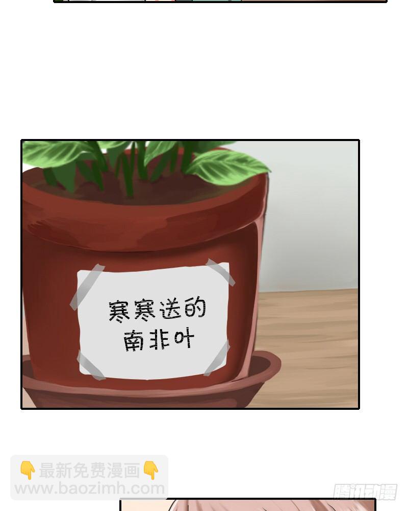 满天星噢~23