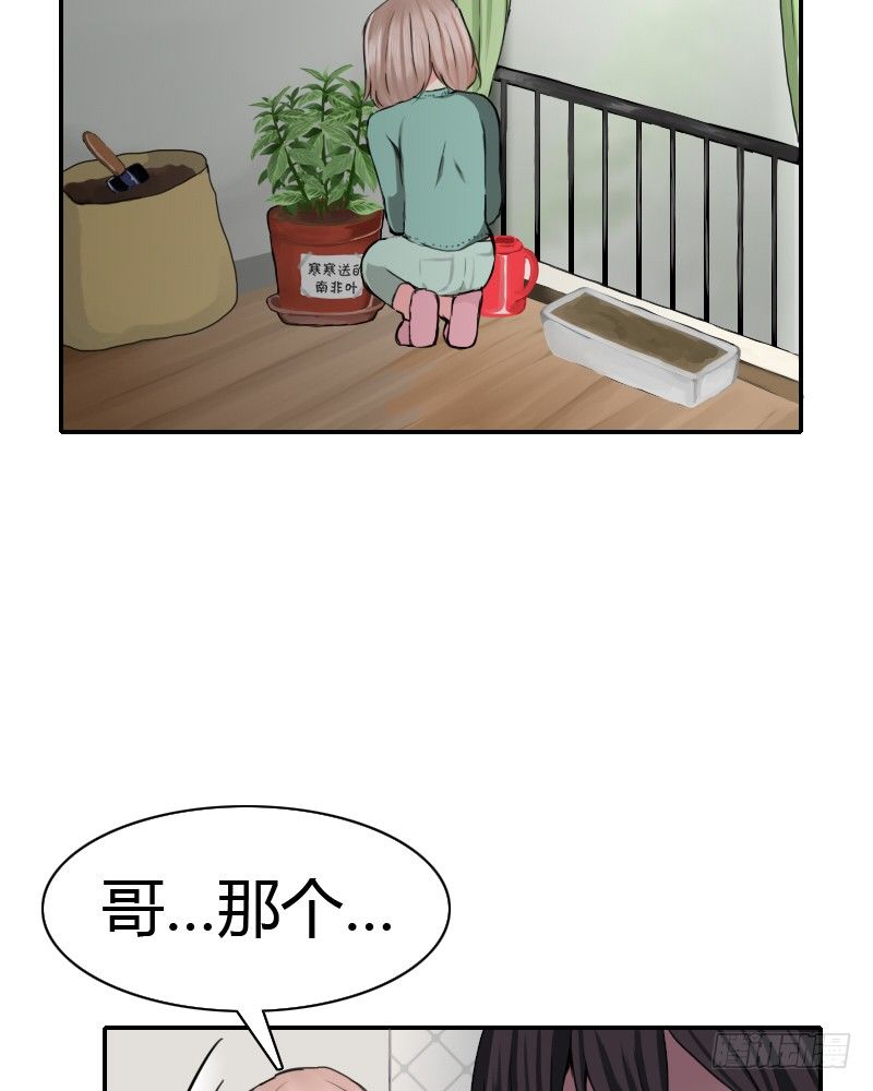 满天星噢~25
