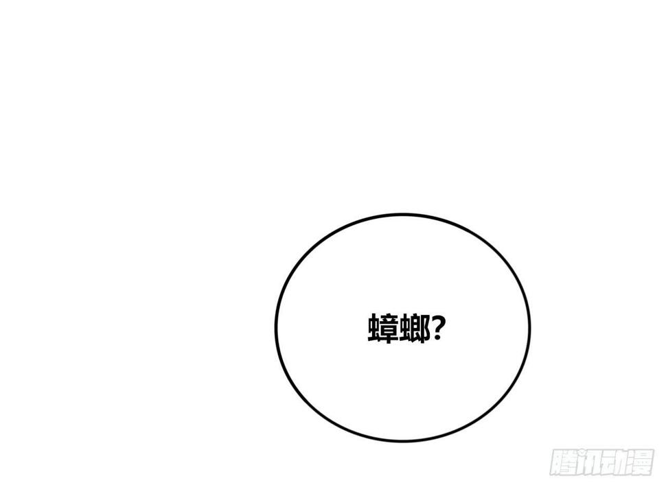 蟑螂与狼16