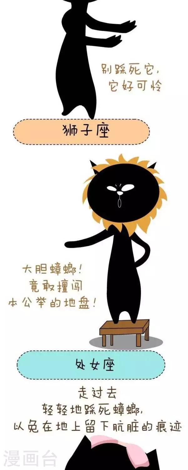 第42话  星座蟑螂2