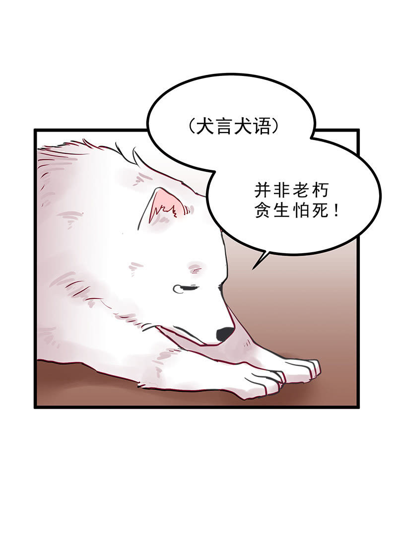 第12话13