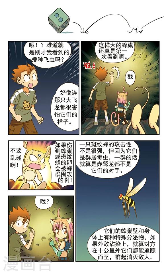 第7话 斑纹蜂对赤鹫龙8