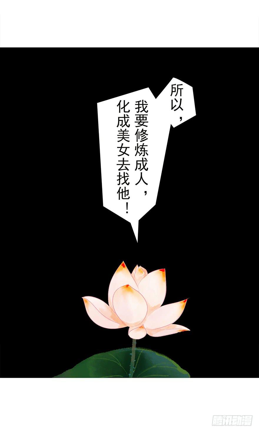 初见20