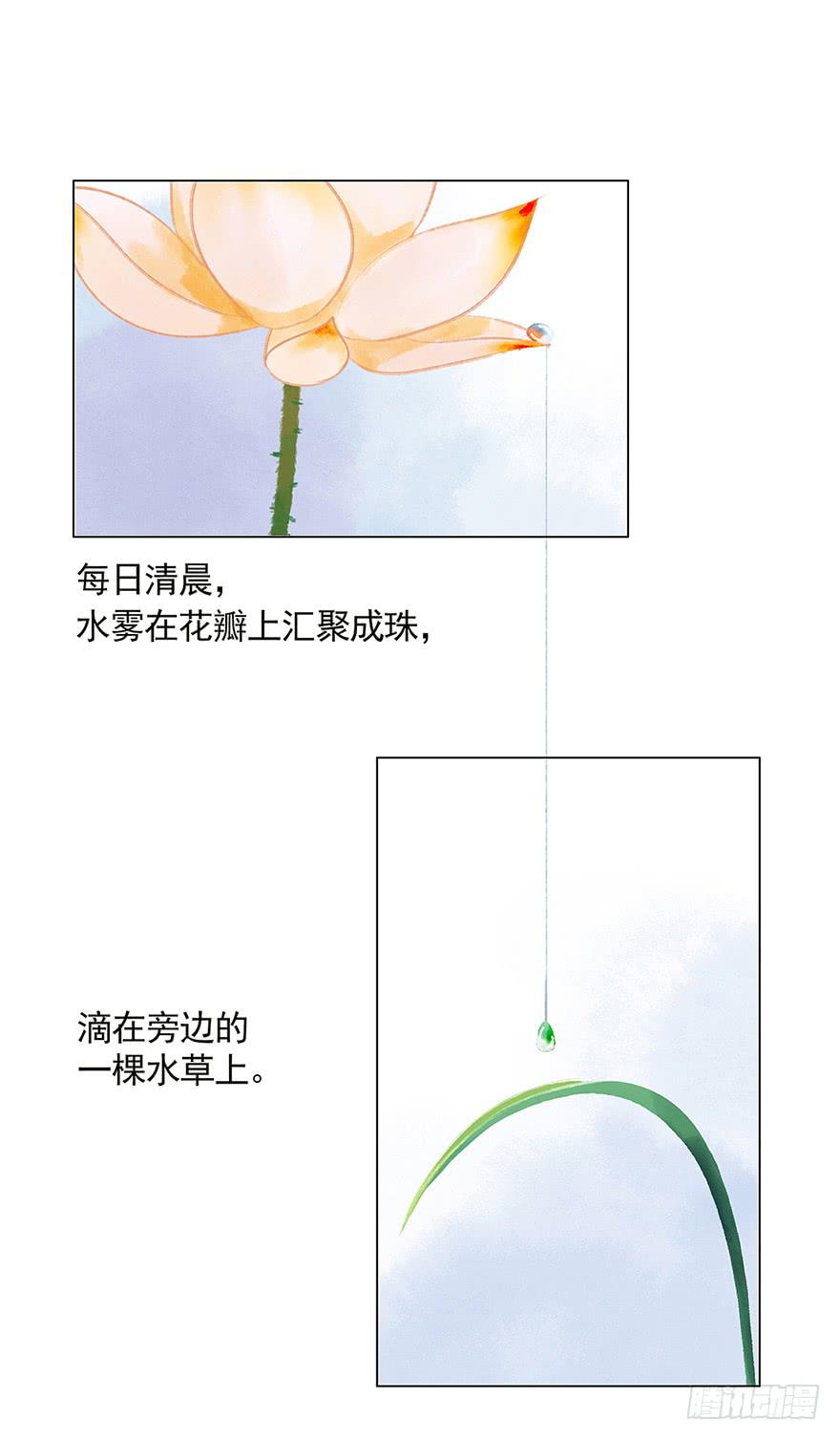 初见22