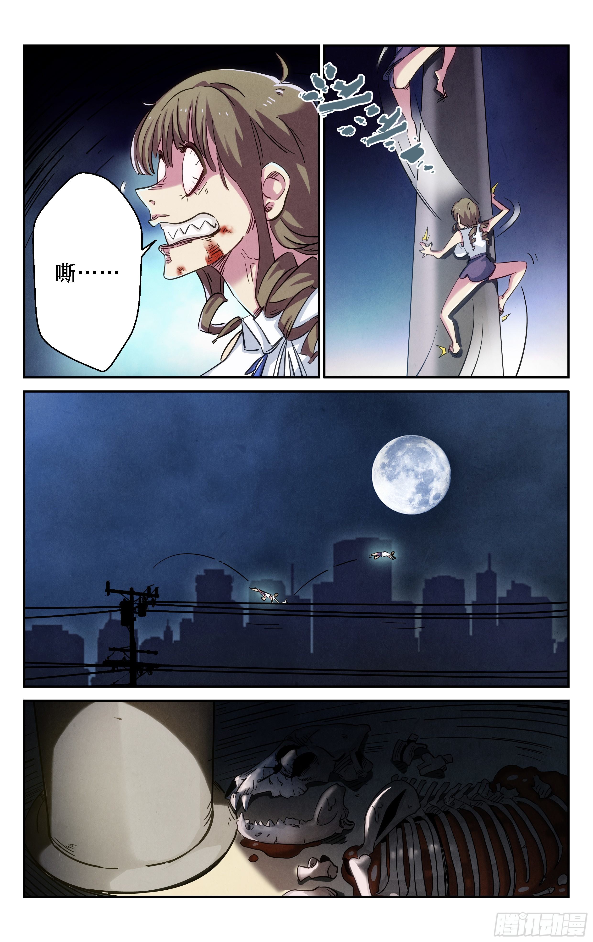追踪5