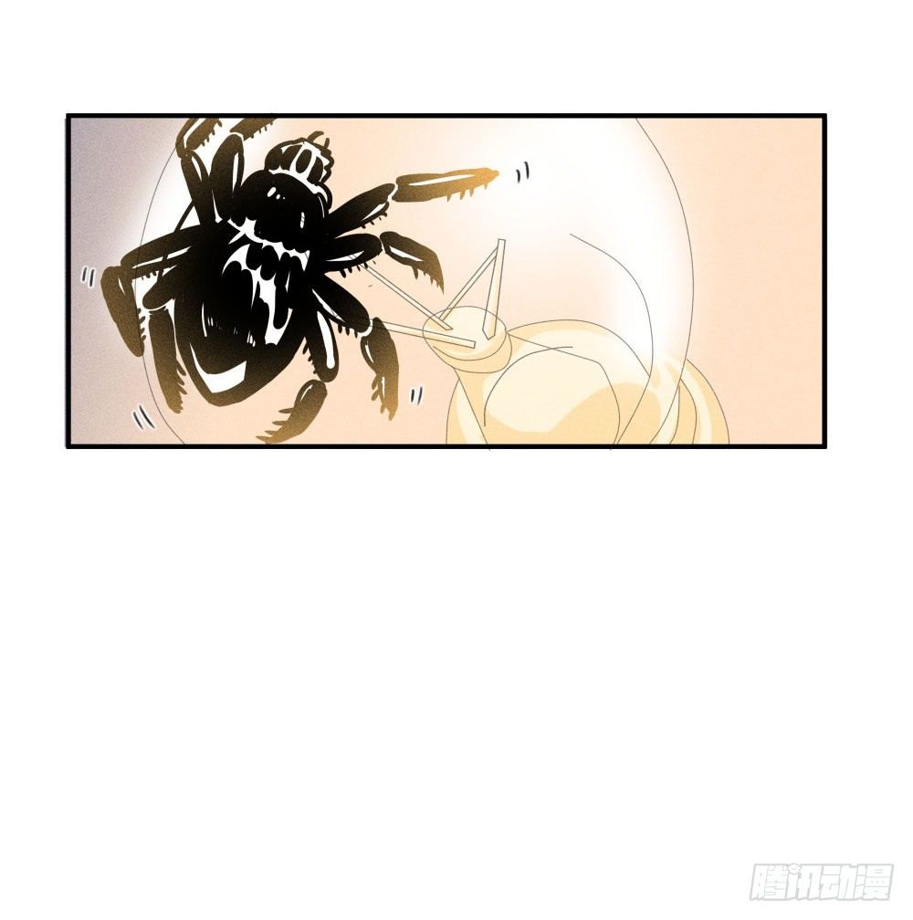 不速之客到访37