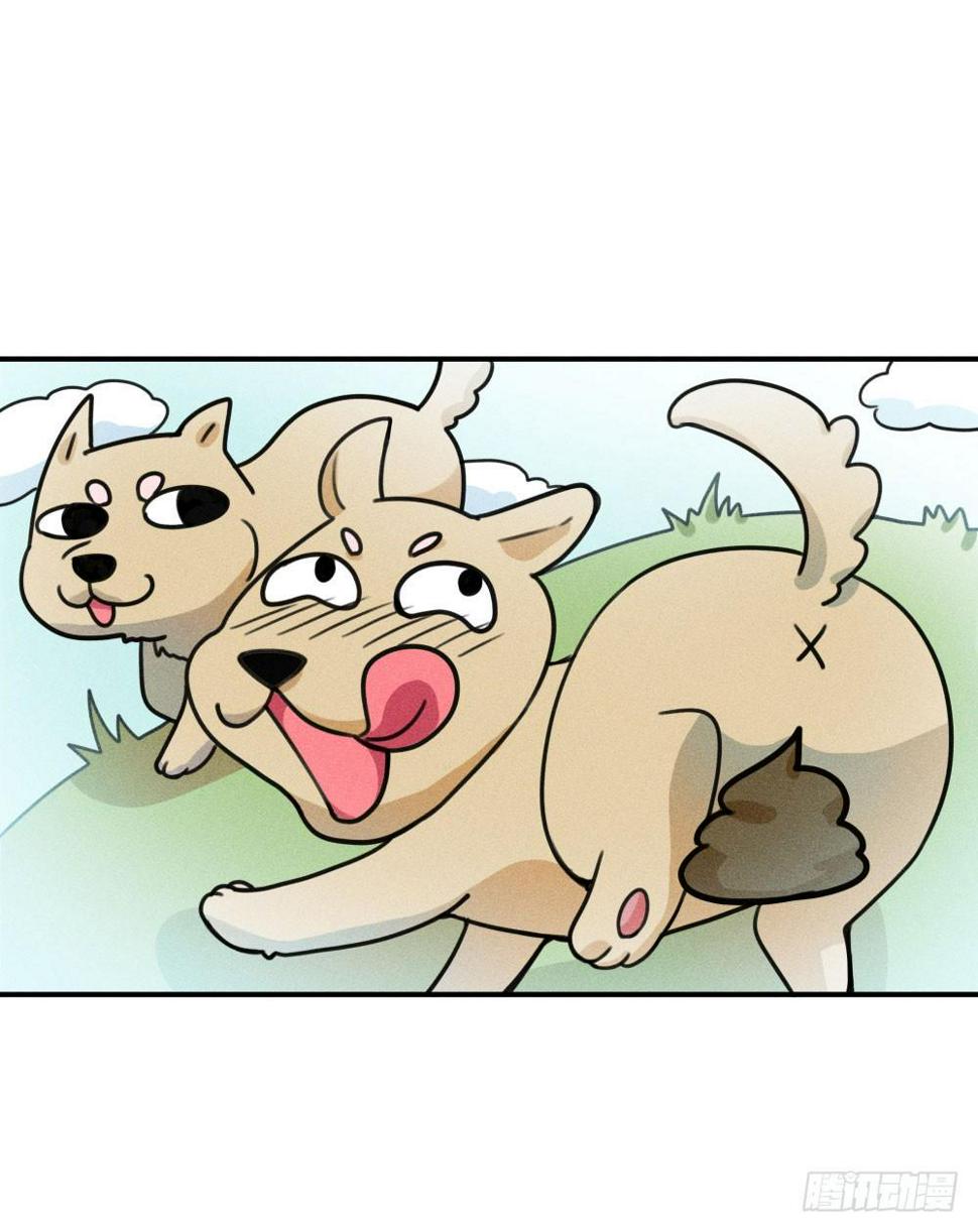不速之客到访5