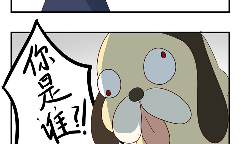 第11话 我们回去吧2