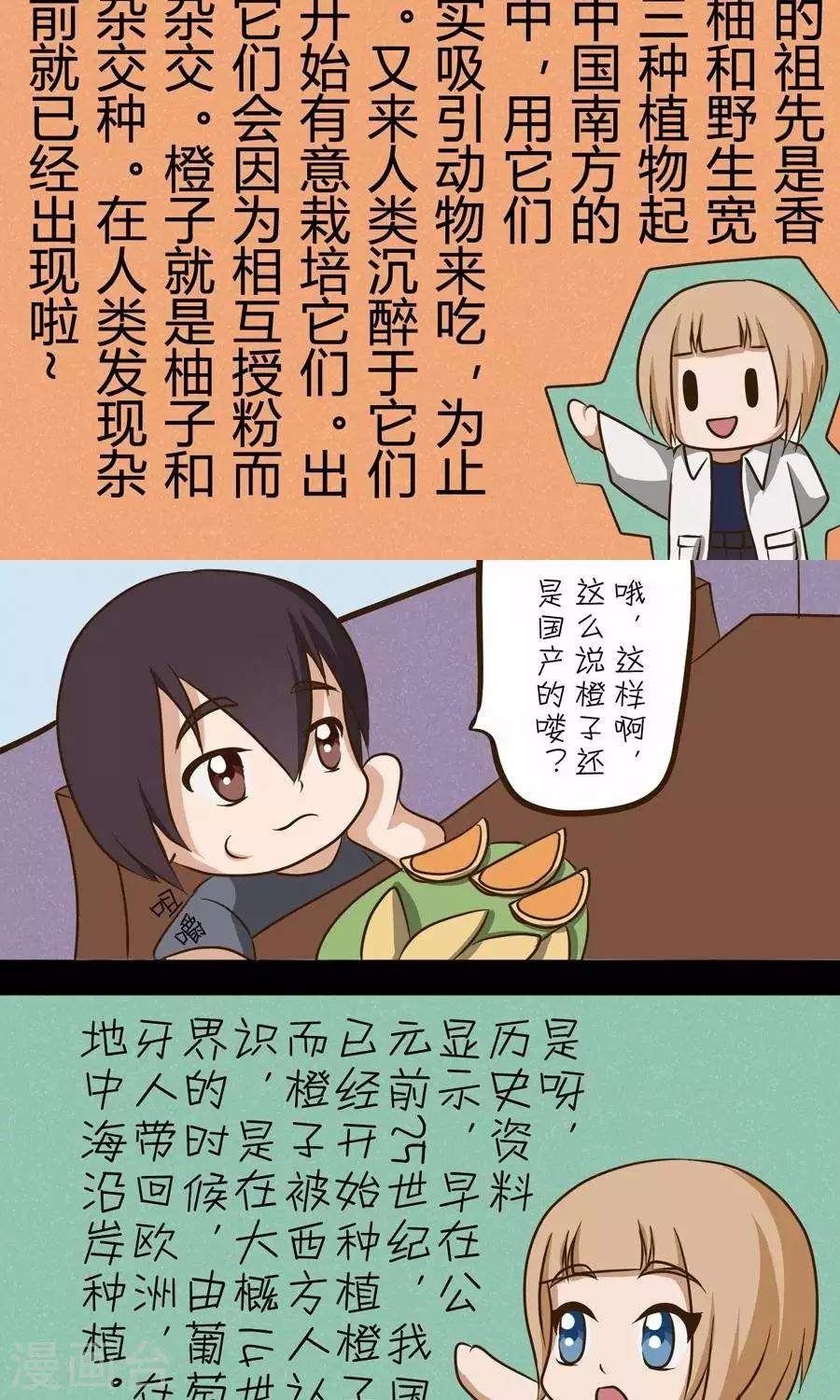 第21话  天下本无橙2