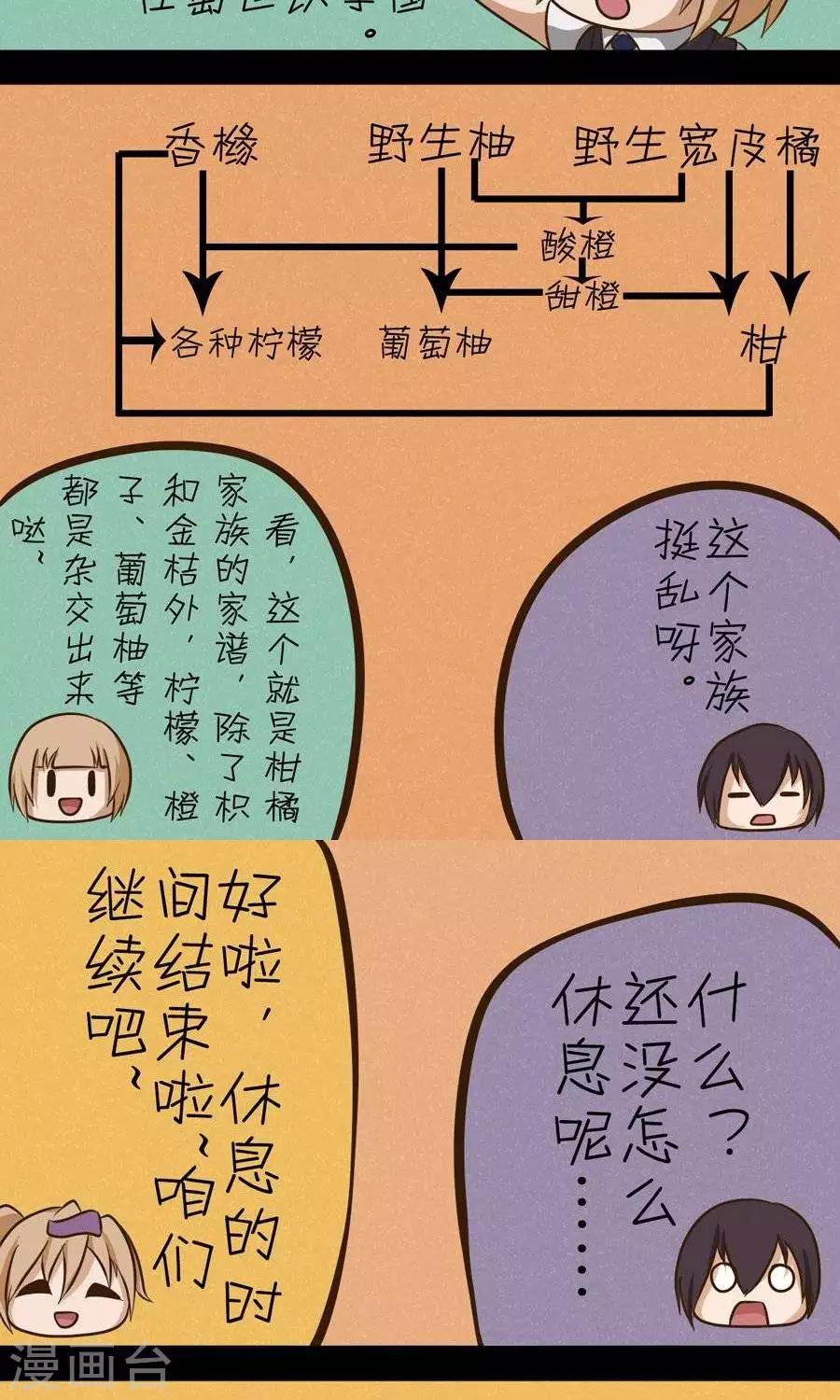 第21话  天下本无橙3