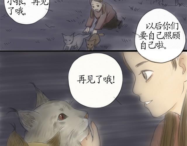 夏日长夜#7 野猫（3）27