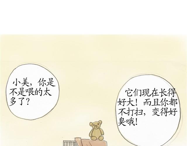 夏日长夜#7 野猫（3）20