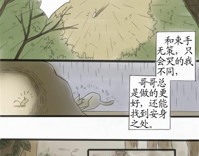 夏日长夜#8 野猫（4）10