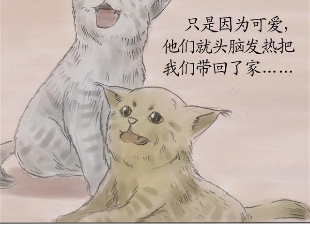 夏日长夜#7 野猫（3）2