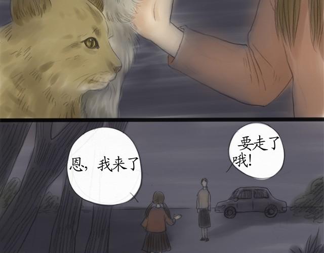 夏日长夜#7 野猫（3）28