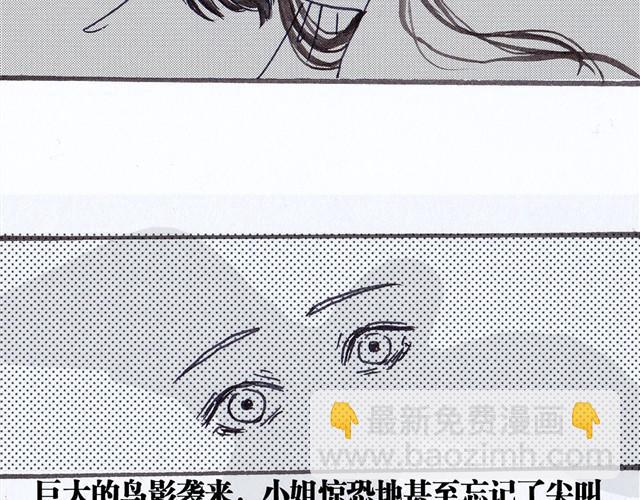 极乐鸟48