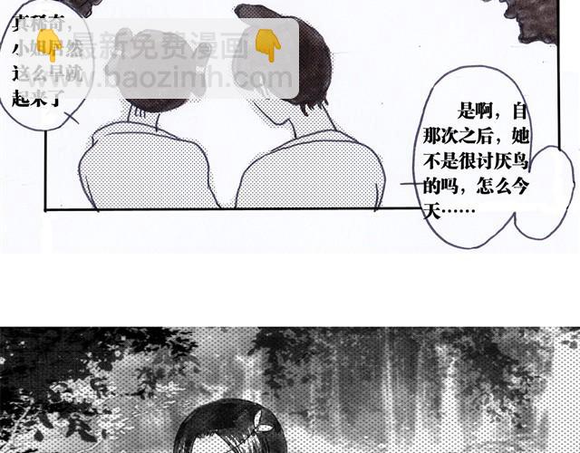 极乐鸟52
