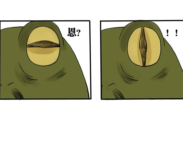 夏日长夜#2 青蛙的报恩2