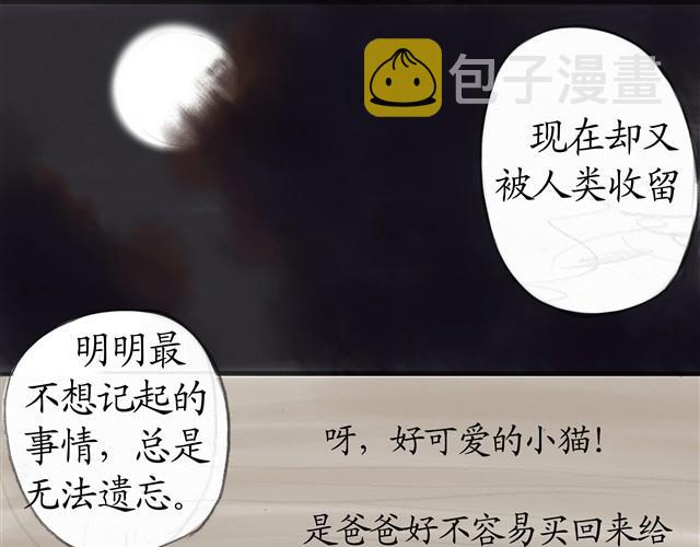 夏日长夜#6 野猫（2）29