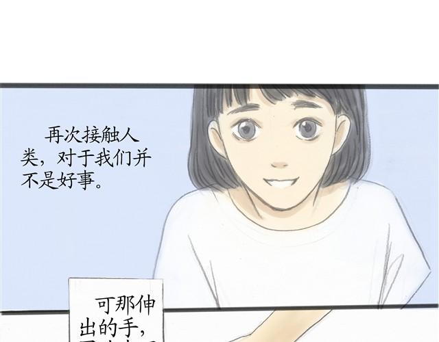 夏日长夜#8 野猫（4）21