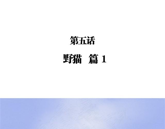 夏日长夜#5 野猫（1）6