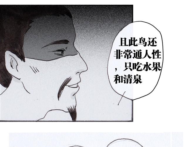 极乐鸟7