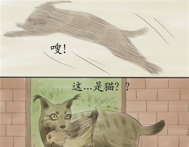 夏日长夜#5 野猫（1）15