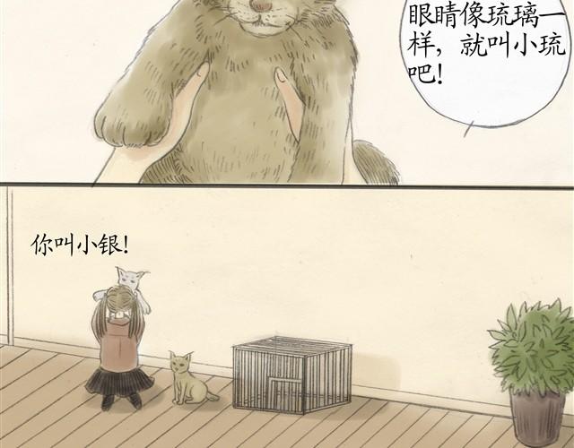 夏日长夜#7 野猫（3）4
