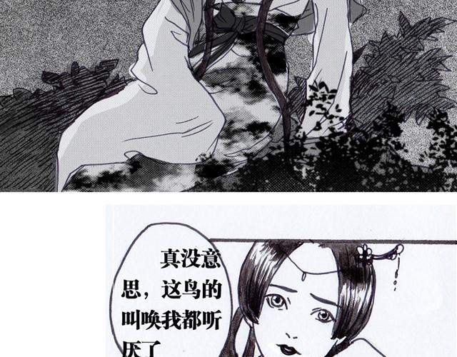 极乐鸟19
