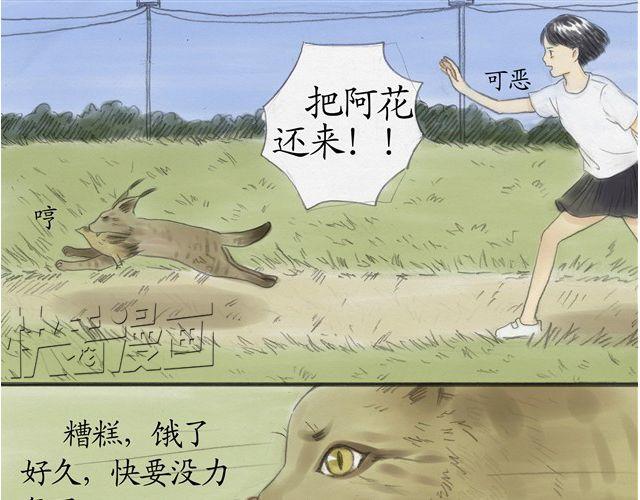 夏日长夜#5 野猫（1）17