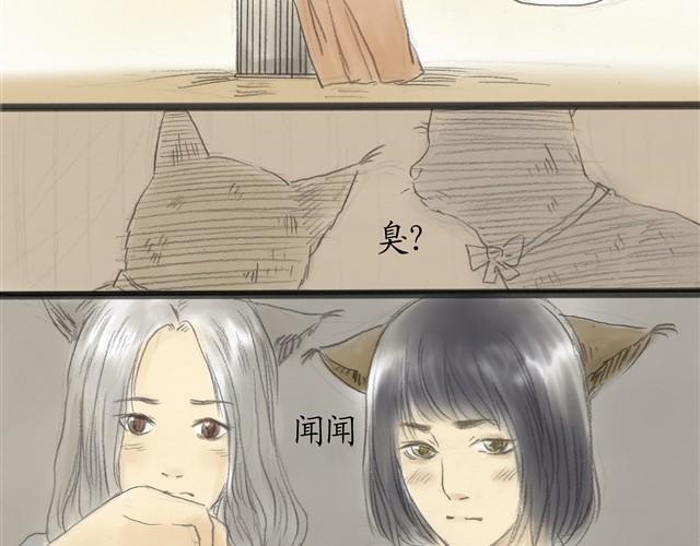 夏日长夜#7 野猫（3）21
