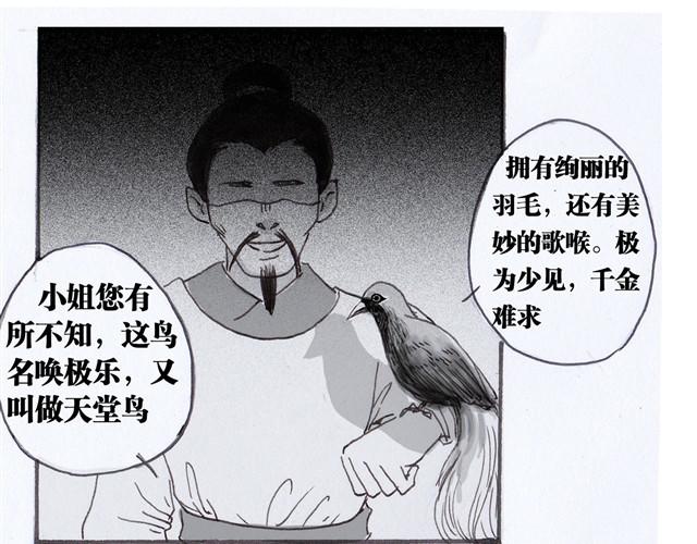 极乐鸟5