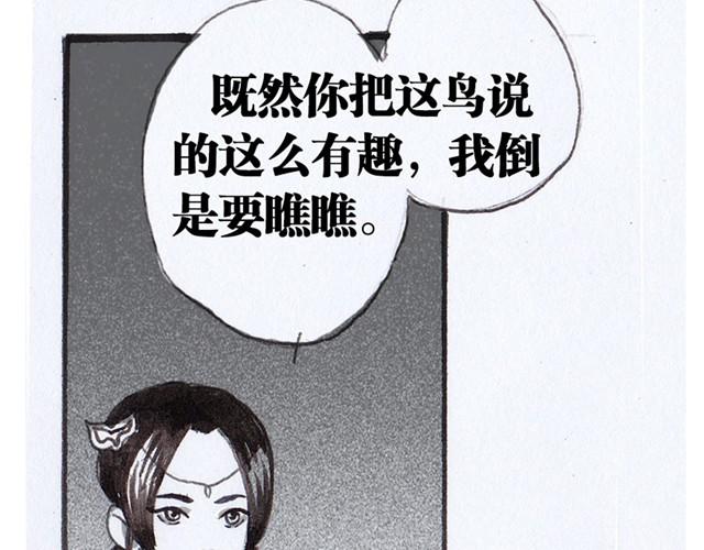 极乐鸟8