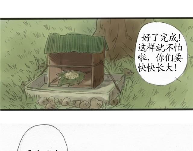 夏日长夜#9  萤火之梦28
