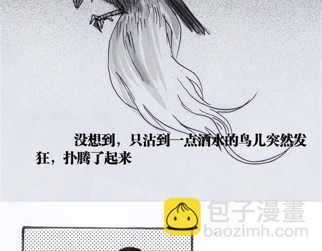 极乐鸟26