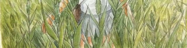 夏日长夜#1 夏日里的小精怪1