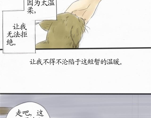夏日长夜#8 野猫（4）22