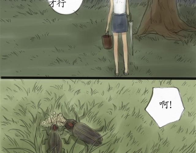 夏日长夜#9  萤火之梦26