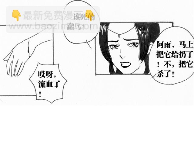 极乐鸟28