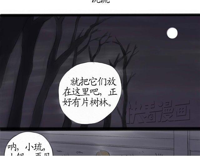 夏日长夜#7 野猫（3）26