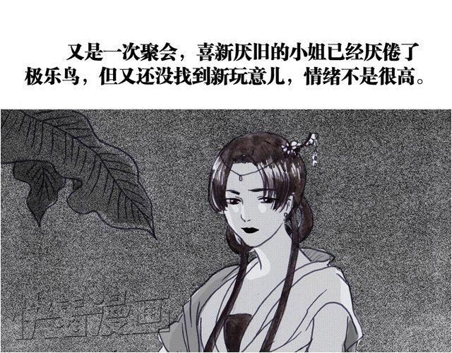 极乐鸟18