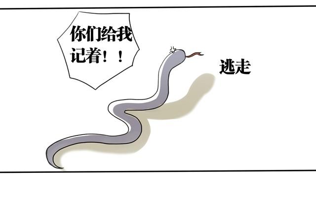 夏日长夜#2 青蛙的报恩20