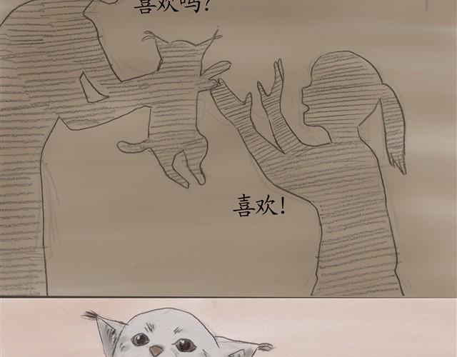 夏日长夜#7 野猫（3）1