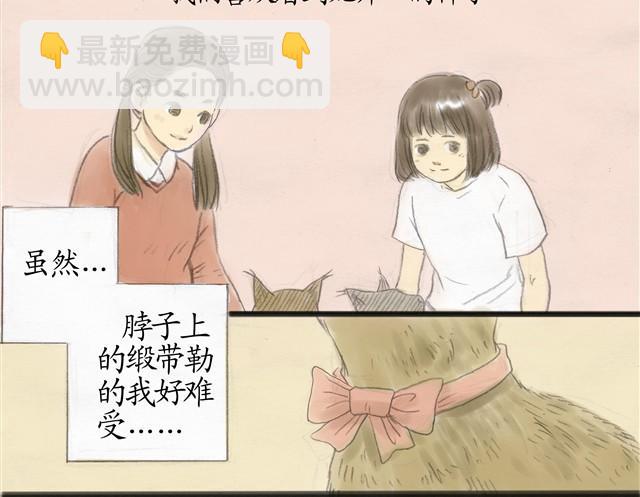 夏日长夜#7 野猫（3）11
