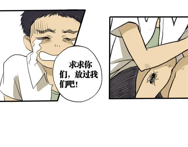 夏日长夜#2 青蛙的报恩1