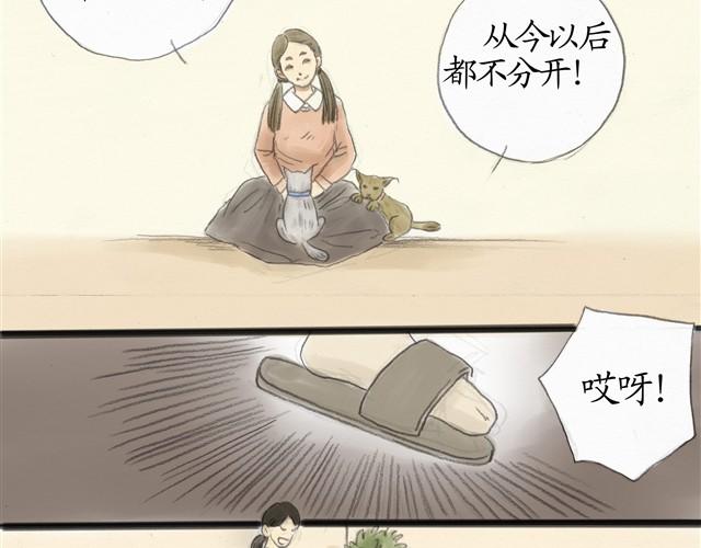 夏日长夜#7 野猫（3）13