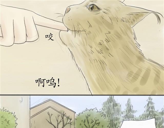 夏日长夜#6 野猫（2）23