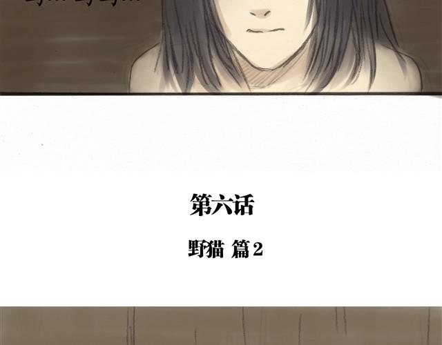 夏日长夜#6 野猫（2）3