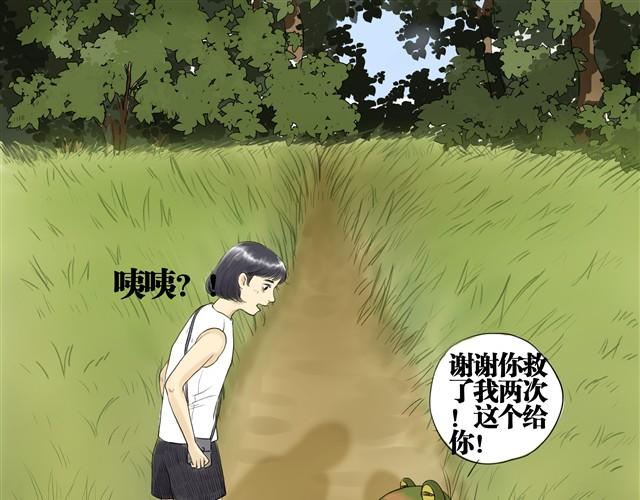 夏日长夜#2 青蛙的报恩30